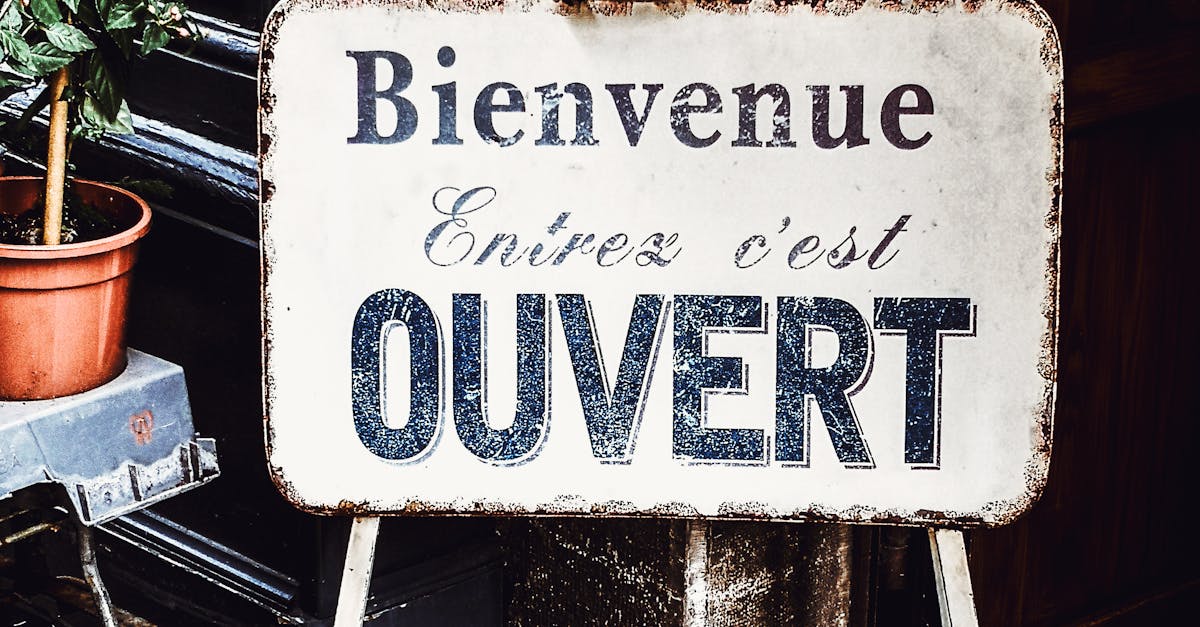 Rustic 'Ouvert' sign welcoming visitors in Lyon, France.